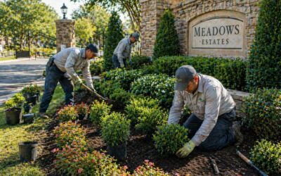 Choosing a Commercial Landscaping Company in Garland, TX